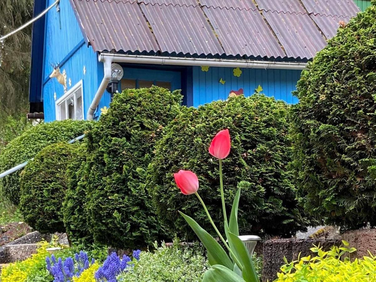 Ferienwohnung Hofmann-Trier Coburg Esterno foto